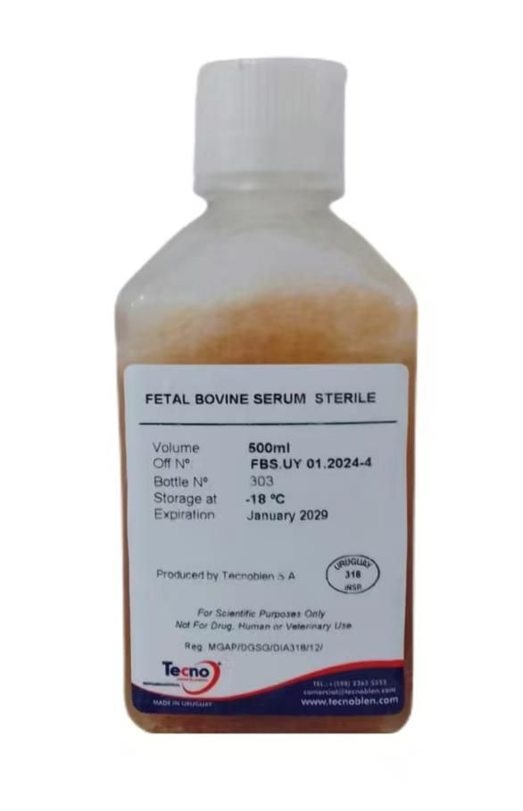 胎牛血清 FETAL BOVINE SERUM