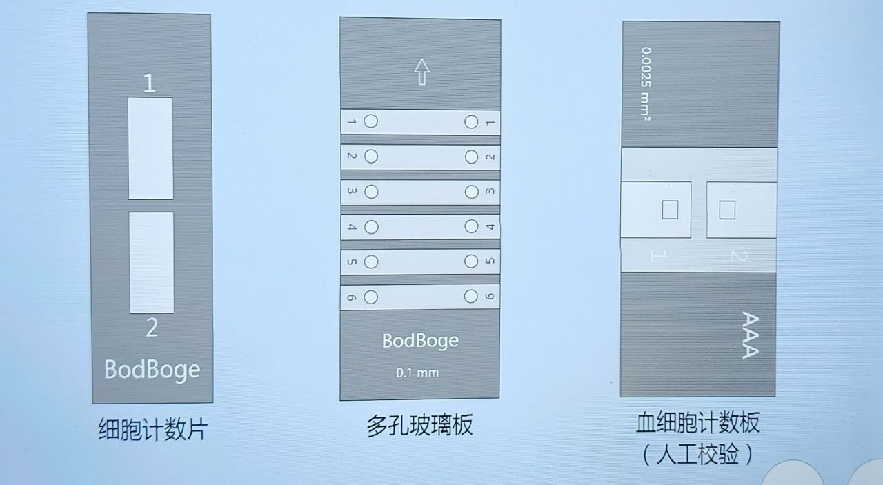 血細胞計數(shù)片-上官網(wǎng)修改 血細胞計數(shù)片-上官網(wǎng)修改